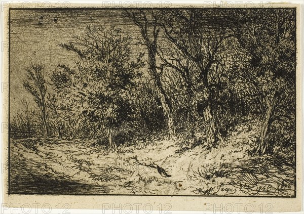 Road at the Edge of a Wood, 1846, Charles Émile Jacque, French, 1813-1894, France, Etching, drypoint and aquatint on cream chine, 75 × 114 mm (image), 83 × 119 mm (sheet)