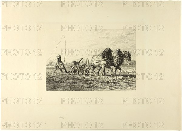 Plowing, c. 1865, Charles Émile Jacque, French, 1813-1894, France, Etching on ivory laid paper, 154 × 227 mm (image), 215 × 274 mm (plate), 325 × 454 mm (sheet)