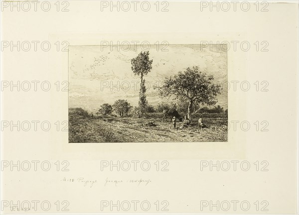 Landscape with Curving Road, 1849, Charles Émile Jacque, French, 1813-1894, France, Etching on mounted china paper, 154 × 201 mm (image), 168 × 204 mm (plate), 298 × 424 mm (sheet)