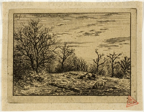 Landscape in Winter, 1846, Charles Émile Jacque, French, 1813-1894, France, Etching on buff chine, 65 × 92 mm (image), 74 × 101 mm (plate), 85 × 110 mm (sheet)