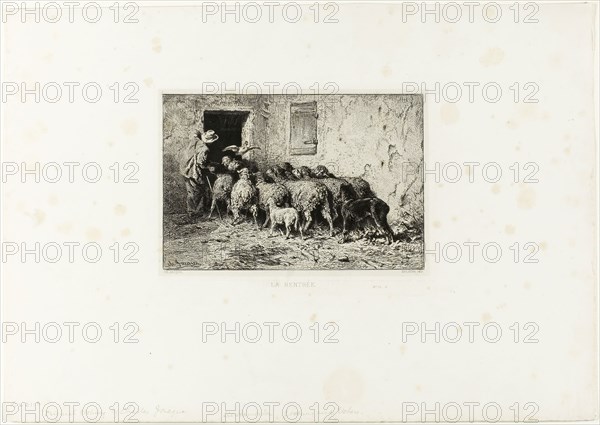 The Sheep Coming Home, c. 1865, Charles Émile Jacque, French, 1813-1894, France, Etching on light gray China paper laid down on ivory wove paper, 129 × 191 mm (image), 138 × 199 mm (chine), 155 × 205 mm (plate), 306 × 433 mm (sheet)