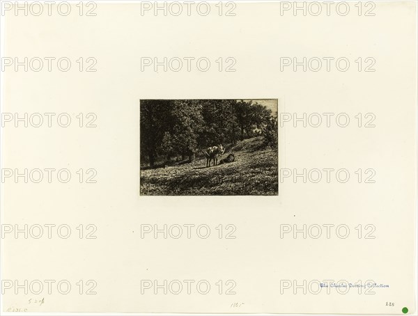 Orchard, c. 1864, Charles Émile Jacque, French, 1813-1894, France, Etching and plate tone on ivory laid paper, 105 × 150 mm (image), 130 × 166 mm (plate), 339 × 448 mm (sheet)