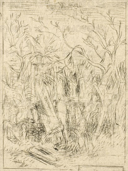 Untitled (Landscape), c. 1843, Charles Émile Jacque, French, 1813-1894, France, Drypoint and roulette on ivory wove paper, 91 × 109 mm (plate), 111 × 135 mm (sheet)