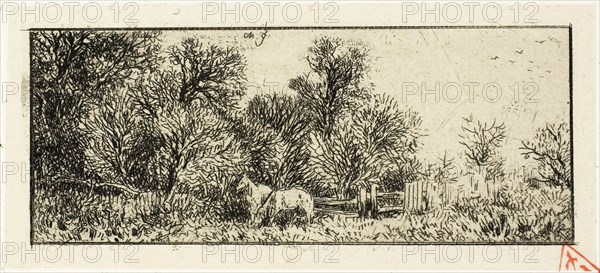 Two Horses in a Wood, 1845, Charles Émile Jacque, French, 1813-1894, France, Etching on cream China paper laid down on ivory wove paper, 42 × 104 mm (image), 51 × 114 mm (chine), 52 × 117 mm (plate), 310 × 448 mm (sheet)