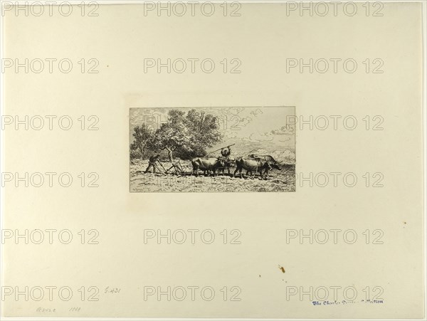 Team of Oxen, 1868, Charles Émile Jacque, French, 1813-1894, France, Etching on ivory laid paper, 92 × 178 mm (image), 340 × 451 mm (sheet)