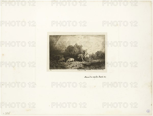 Landscape with Man on Horseback, Pigs and Cow, n.d., Charles Émile Jacque, French, 1813-1894, France, Etching and drypoint on cream China paper laid down on ivory wove paper, 68 × 111 mm (image), 79 × 120 mm (chine), 122 × 166 mm (plate), 227.5 × 299 mm (sheet)