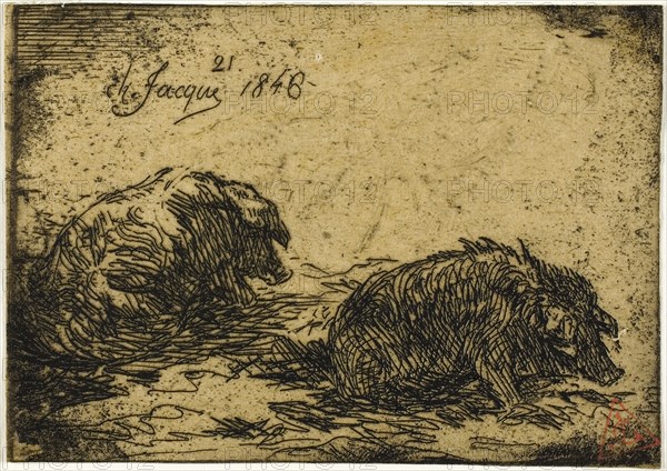 Two Pigs Lying Down, 1846, Charles Émile Jacque, French, 1813-1894, France, Etching on buff chine, 70 × 99 mm