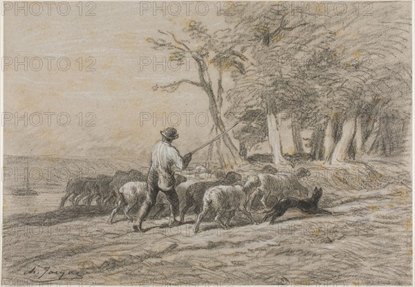 Shepherd and his Flock, n.d., Charles Émile Jacque, French, 1813-1894, France, Charcoal, with stumping, heightened with white chalk, on pinkish-gray laid paper with blue fibers, 294 × 422 mm