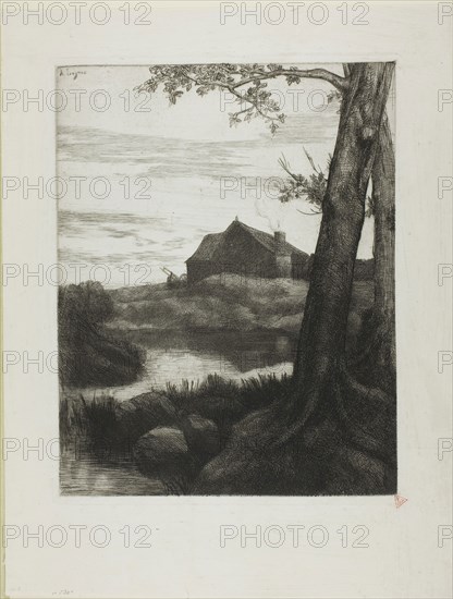 Farm with Large Tree, c. 1855, Alphonse Legros, French, 1837-1911, France, Etching and drypoint on cream laid paper, 313 × 245 mm (image), 324 × 255 mm (plate), 427 × 325 mm (sheet)