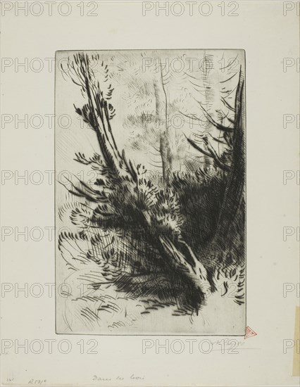 In a Wood, c. 1885, Alphonse Legros, French, 1837-1911, France, Drypoint and plate tone on ivory laid paper, 227 × 152 mm (plate), 301 × 237 mm (sheet)