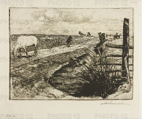 Road in the Marais, Vendée, 1892, Louis Auguste Lepère, French, 1849-1918, France, Etching from a zinc plate on cream laid paper, 148 × 199 mm (image/plate), 191 × 224 mm (sheet)