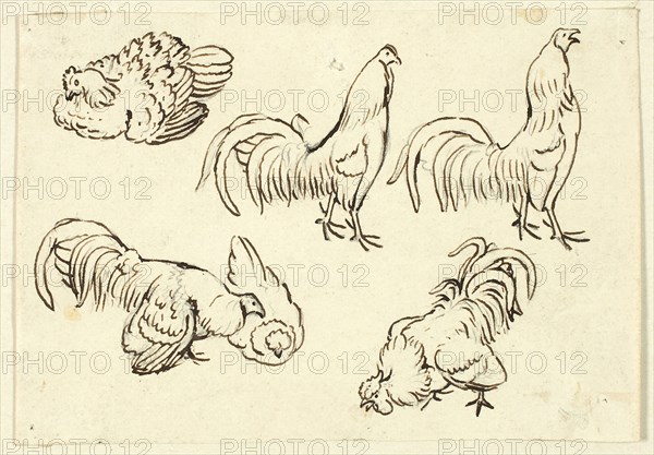 Sketches of Poultry, n.d., Attributed to Henry Stacy Marks, English, 1829-1898, England, Pen and brown ink over graphite on cream wove paper, 80 × 113 mm