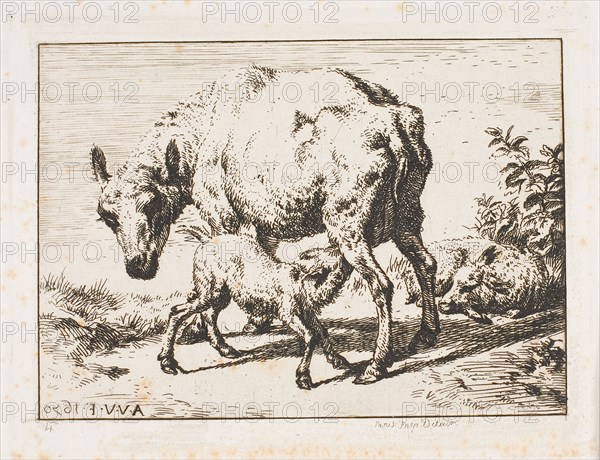 The Ewe with Two Lambs, 1850, Charles Meryon (French, 1821-1868), after Adriaen van de Velde (Dutch, 1636-1672), France, Etching and engraving on ivory wove paper, 61.5 × 93 mm (image), 80 × 103 mm (plate), 321 × 240 mm (sheet)
