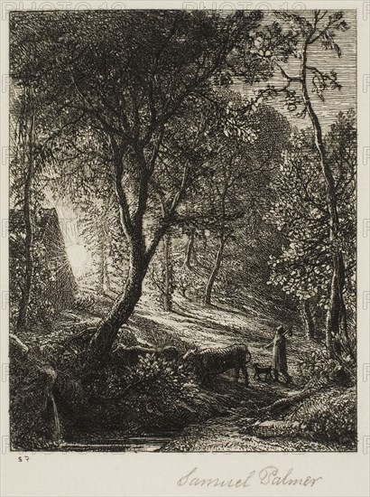 Sunset, c. 1850, Samuel Palmer, English, 1805-1881, England, Etching on paper, 97 × 77 mm (image), 103 × 124 mm (plate), 351 × 264 mm (sheet)