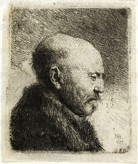 Bald Headed Man in Profile Right: The Artist’s Father (?), 1630, Rembrandt van Rijn, Dutch, 1606-1669, Holland, Etching on paper, 59 x 58 mm (image), 70 x 59 mm (plate), 77 x 65 mm (sheet)