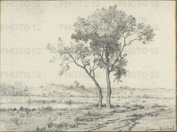 Landscape, c. 1875, Léon Richet, French, 1847-1907, France, Graphite on paper, 234 × 334 mm