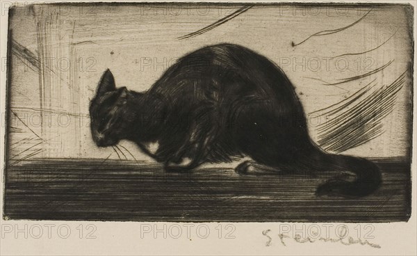 Cat Arching Its Back, 1898, Théophile-Alexandre Steinlen, French, born Switzerland, 1859-1923, France, Drypoint from a zinc plate on ivory laid paper, 76 × 141 mm (image/plate), 222 × 306 mm (sheet)