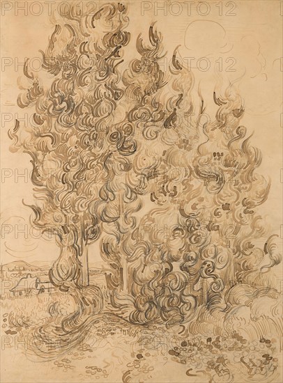 Cypresses, 1889, Vincent van Gogh, Dutch, 1853-1890, Netherlands, Pen and reed pen and brown inks, with graphite, on buff wove paper, laid down on card, 625 x 464 mm
