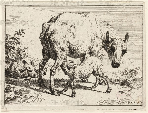 The Lamb, 1670, Adriaen van de Velde, Dutch, 1636-1672, Holland, Etching in black on ivory wove paper, 73 x 98 mm