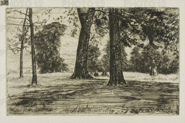 Greenwich Park, 1859, James McNeill Whistler, American, 1834-1903, United States, Etching and drypoint with foul biting in black ink on ivory laid paper, 128 x 205 mm (plate), 198 x 316 mm (sheet)