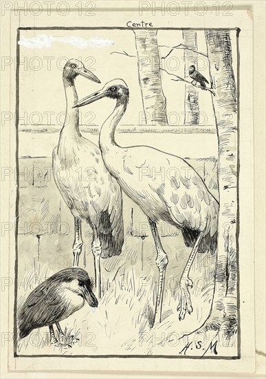 Four Birds in Landscape, n.d., Henry Stacy Marks, English, 1829-1898, England, Pen and black ink, with brush and gray wash and white gouache, squared in graphite, on ivory wove paper, laid down on buff wove paper, 158 × 108 mm