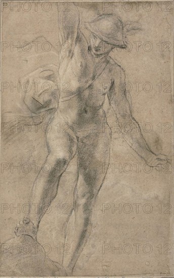 Study for Mercury, 1613/14, Giacomo Cavedone, Italian, 1577-1660, Italy, Black chalk, heightened with white chalk, on tan laid paper, laid down on brownish-gray laid paper, 420 x 260 mm