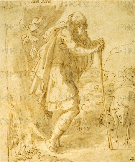 Old Shepherd Leaning on a Staff, 1524/31, Francesco Mazzola, called Parmigianino, Italian, 1503-1540, Italy, Pen and brown ink with brush and brown wash, over black chalk, on paper, 141 x 118 mm