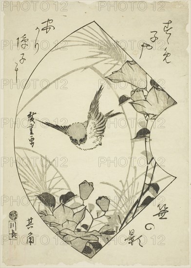 Autumn Flower and Sparrow, c. 1835, Utagawa Hiroshige ?? ??, Japanese, 1797-1858, Publisher: Kawa-Cho, Japanese, Unknown, Japan, Woodblock print, koban, 24 x 16.8 cm (9 3/8 x 6 1/2 in.)