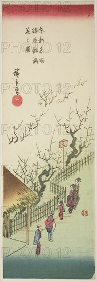 Plum Garden in Full Bloom (Ume yashiki manka no zu), from the series Famous Views of the Eastern Capital (Toto meisho), c. 1835/38, Utagawa Hiroshige ?? ??, Japanese, 1797-1858, Japan, Color woodblock print, chutanzaku, 38.1 x 12.8 cm (15 x 5 in.)