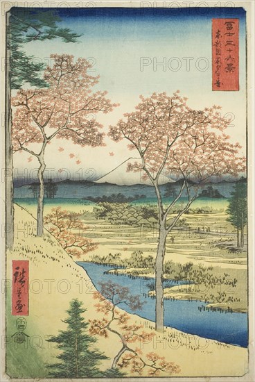 Yuhi Hill at Meguro in the Eastern Capital (Toto Meguro Yuhigaoka), from the series Thirty-six Views of Mount Fuji (Fuji sanjurokkei), 1858, Utagawa Hiroshige ?? ??, Japanese, 1797-1858, Japan, Color woodblock print, oban, 34.6 x 22.8 cm (13 5/8 x 9 in.)