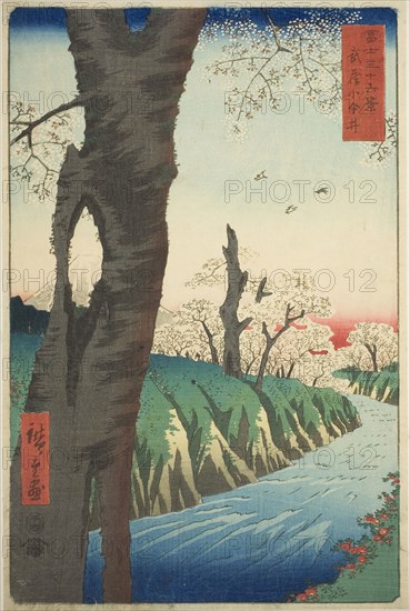 Koganei in Musashi Province (Musashi Koganei), from the series Thirty-six Views of Mount Fuji (Fuji sanjurokkei), 1858, Utagawa Hiroshige ?? ??, Japanese, 1797-1858, Japan, Color woodblock print, oban, 34.5 x 22.8 cm (13 9/16 x 9 in.)