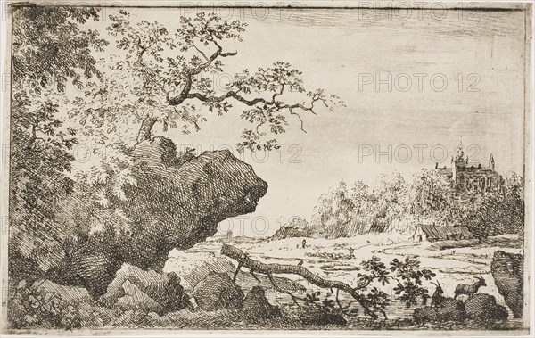 Branch of a tree, n.d., Allart van Everdingen, Dutch, 1621-1675, Holland, Etching on ivory laid paper, 99 x 156 mm (image/plate), 101 x 160 mm (sheet)