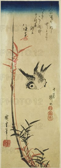 Sparrow and bamboo, mid–1830s, Utagawa Hiroshige ?? ??, Japanese, 1797-1858, Japan, Color woodblock print, chutanzaku, 36.4 x 12.8 cm (14 3/8 x 5 in.)