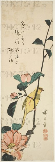 Canary and camellias, 1840s, Utagawa Hiroshige ?? ??, Japanese, 1797-1858, Japan, Color woodblock print, aitanzaku, 35.4 x 11.9 cm (13 7/8 x 4 1/2 in.)