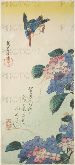 Kingfisher and hydrangea, 1830s, Utagawa Hiroshige ?? ??, Japanese, 1797-1858, Japan, Color woodblock print, otanzaku, 35.6 x 16.8 cm (14 7/8 x 6 5/8 in.)