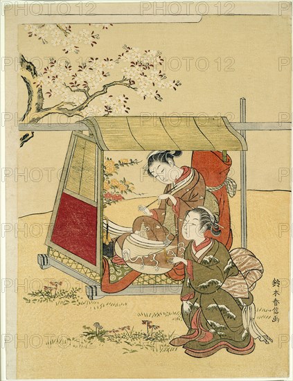 Resting in a Palanquin Beneath Cherry Blossoms, c. 1767/68, Suzuki Harunobu ?? ??, Japanese, 1725 (?)-1770, Japan, Color woodblock print, chuban, 28.0 x 21.2 cm (11 x 8 1/4 in.)