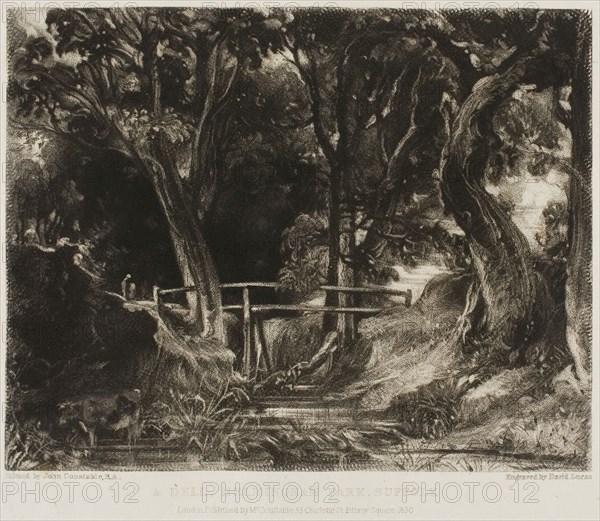 A Dell, Helmingham Park, Suffolk, 1830, David Lucas (English, 1802-1881), after John Constable (English, 1776-1837), England, Mezzotint on paper, 146 × 185 mm (image), 178 × 226 mm (plate), 295 × 440 mm (sheet)