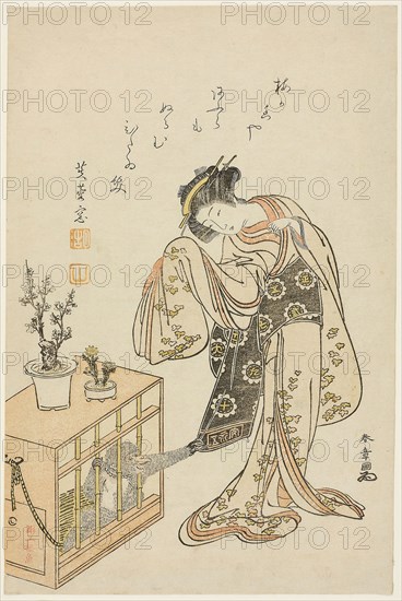Young Woman with a Caged Monkey (Calendar Print for New Year 1776), 1776, Katsukawa Shunsho ?? ??, Japanese, 1726-1792, Japan, Color woodblock print, chuban, 25.7 × 17 cm (10 1/8 × 6 11/16 in.)