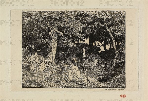 Rock Oaks, 1861, Théodore Rousseau (French, 1812-1867), printed by Auguste Delâtre (French, 1822-1907), France, Etching on cream laid paper, 125 × 167 mm (image), 133 × 207 mm (plate), 210 × 300 mm (sheet)