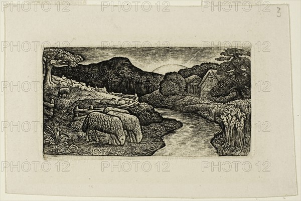 The Sheep of this Pasture, n.d., Edward Calvert, English, 1799-1883, England, Engraving on paper, 41 × 78 mm (image), 43 × 80 mm (plate), 72 × 108 mm (sheet)