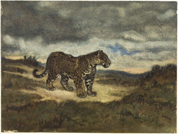Jaguar Standing, 1830/50, Antoine Louis Barye, French, 1795-1875, France, Watercolor, with black crayon, touches of gouache, and wiping, on cream laid paper, laid down on Japanese paper, 250 × 335 mm