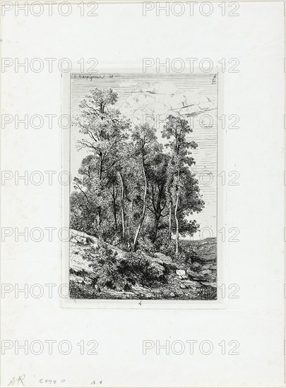 Birches and Oaks, 1848, printed 1849, Henri Joseph Harpignies, French, 1819-1916, France, Etching on ivory China paper, laid down on ivory wove paper, 178 × 117 mm (plate), 186 × 125 mm (primary support), 302 × 223 mm (secondary support)