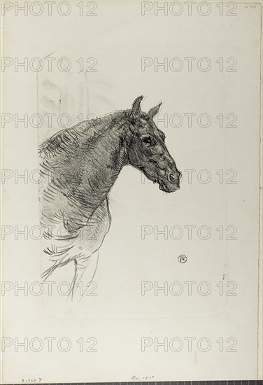 Philibert the Pony, 1898, Henri de Toulouse-Lautrec, French, 1864-1901, France, Lithograph on ivory wove paper, 357 × 260 mm (image), 530 × 360 mm (sheet)