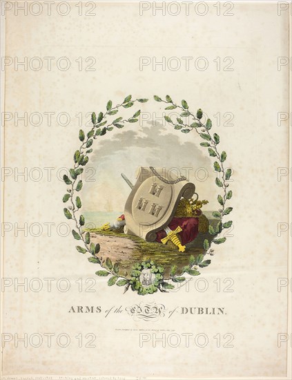 Dublin, published July 1792, James Malton, English, 1761-1803, England, Hand-colored aquatint in black on ivory wove paper, 425 × 315 mm (plate), 547 × 420 mm (sheet)
