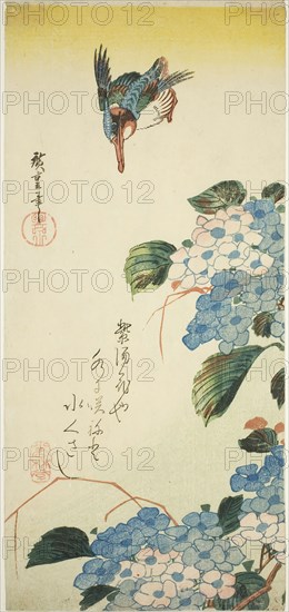 Kingfisher and hydrangea, 1830s, Utagawa Hiroshige ?? ??, Japanese, 1797-1858, Japan, Color woodblock print, otanzaku, 38 x 17.3 cm (14 7/8 x 5 7/8 in.)