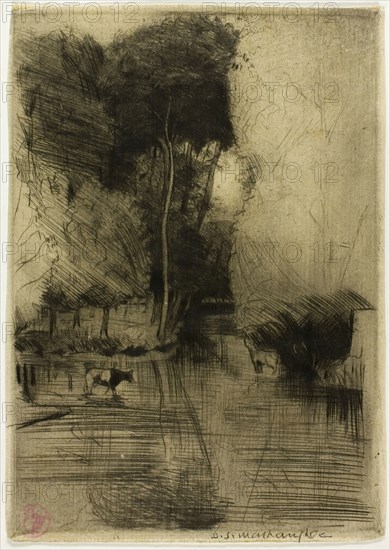 Mill Stream, 1899, Donald Shaw MacLaughlan, American, born Canada, 1876-1938, United States, Drypoint in black on cream laid paper, 135 x 95 mm (image/plate), 140 x 99 mm (sheet)