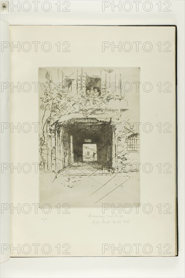 Doorway and Vine, 1879–80, James McNeill Whistler, American, 1834-1903, United States, Etching and drypoint with foul biting, with drypoint cancellation, in dark brown ink on ivory laid paper, 232 x 168 mm (plate), 380 x 275 mm (sheet, sight, bound)