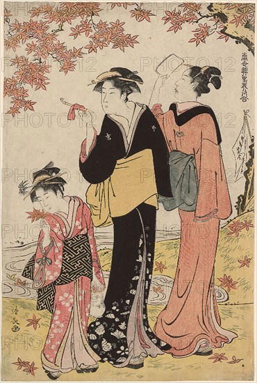 Beauties Under a Maple Tree, from the series A Collection of Contemporary Beauties of the Pleasure Quarters (Tosei yuri bijin awase), c. 1784, Torii Kiyonaga, Japanese, 1752-1815, Japan, Color woodblock print, right sheet of oban diptych (left sheet: 1925.2653), 38.6 x 25.5 cm