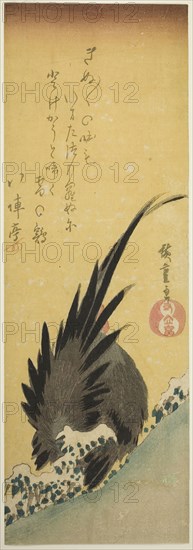 Rooster on a hillside in winter, mid–1830s, Utagawa Hiroshige ?? ??, Japanese, 1797-1858, Japan, Color woodblock print, chutanzaku, 13 1/2 x 4 5/8 in.