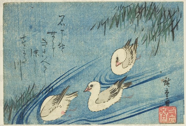 Oystercatchers, c. 1833/34, Utagawa Hiroshige ?? ??, Japanese, 1797-1858, Japan, Color woodblock print, koban, 12.5 x 18.3 cm (5 x 7 1/4 in.)